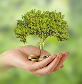 green_investment
